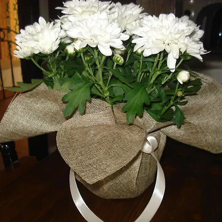 Apartament Iron House *