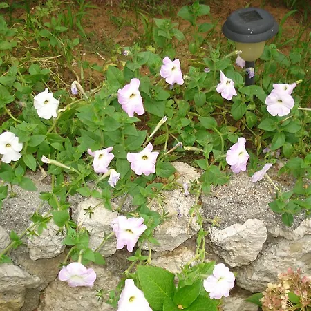 Iron House آغيوس غيوريوس