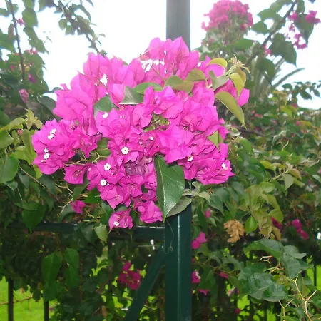 شقة Iron House آغيوس غيوريوس