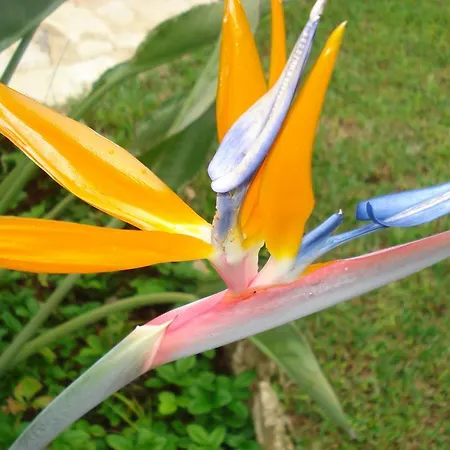 Iron House * آغيوس غيوريوس